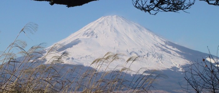 Fuji from Tozanso